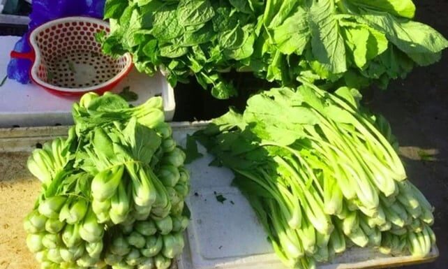 5 Vegetables Prone to Pesticide Residues: Are You Eating These Unknowingly?