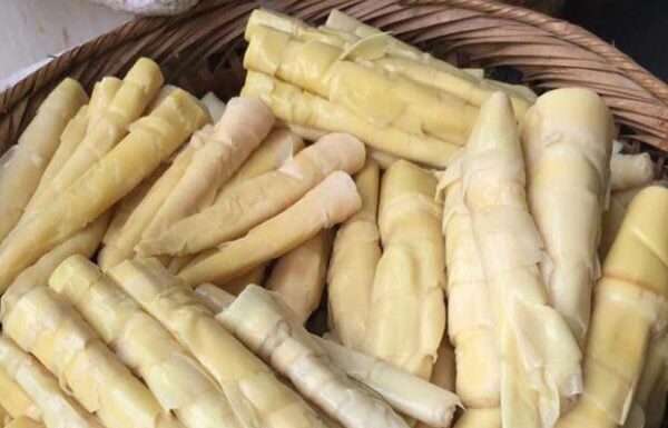 “Green Ginseng” on a Budget: 6 Affordable Superfoods for a Healthy Lifestyle