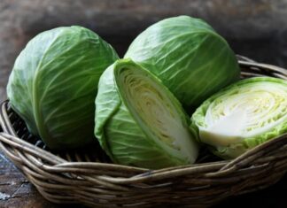 “The ‘National’ Vegetable: A Doctor’s 10-Minute Pre-Meal Chew Reduces Weight by 20kg in 3 Months”