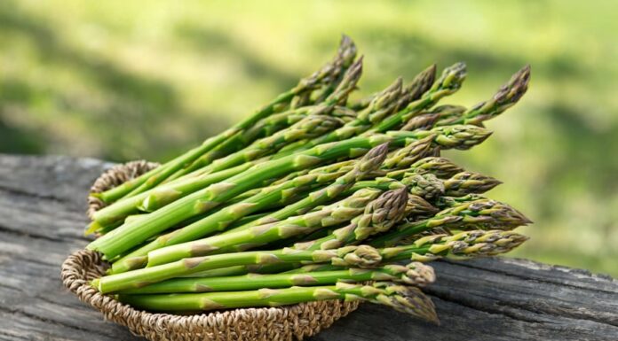 The World’s ‘Best Vegetable’, According to Experts, is a Humble yet Tasty Treat from Vietnam