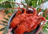The Ultimate Seafood Delicacy: Vietnam’s ‘Superfood’ Craze in China