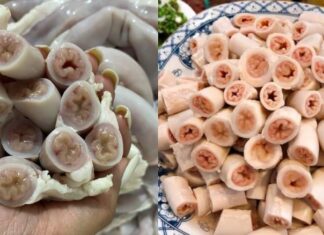 Which Pig’s Intestines Are Best for Sewing? A Crunchy Delicacy.