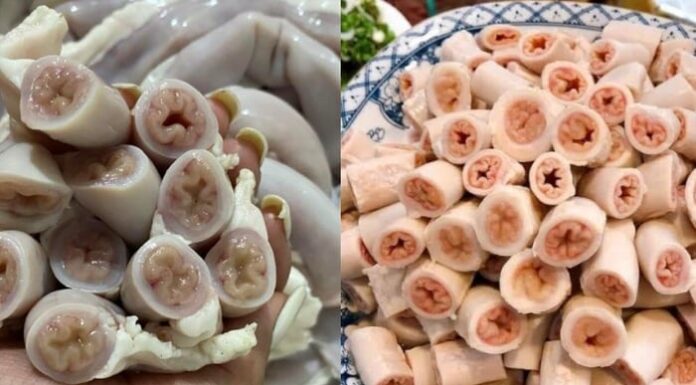 Which Pig’s Intestines Are Best for Sewing? A Crunchy Delicacy.