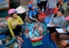 The Island’s Bustling Seafood Market: Uncovering the Vibrant Heart of Phu Quy Island’s Seafood Scene