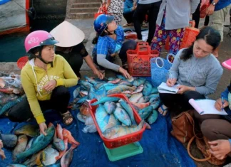 The Island’s Bustling Seafood Market: Uncovering the Vibrant Heart of Phu Quy Island’s Seafood Scene