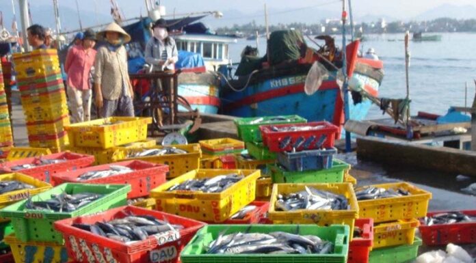The Ultimate Guide to Nha Trang’s Best-Kept Secret: A Seafood Market Paradise for Locals and Adventurous Foodies Alike