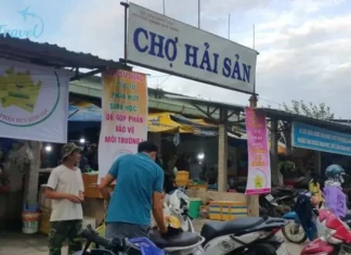 The Ultimate Guide to Finding the Freshest Seafood in Da Nang: Unveiling the City’s Best-Kept Secret for a Reasonable Price