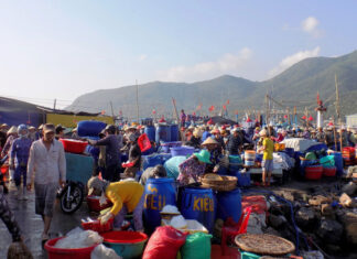 The Ultimate Guide to Nha Trang’s Seafood Haven: An Early Morning Adventure