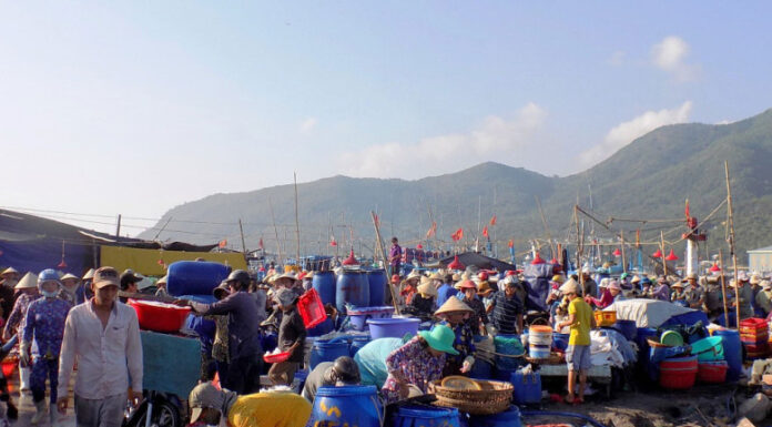 The Ultimate Guide to Nha Trang’s Seafood Haven: An Early Morning Adventure