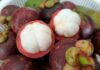 Who Should Avoid Eating Mangosteen?