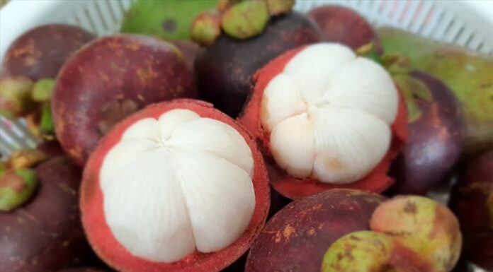 Who Should Avoid Eating Mangosteen?