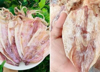 The Ultimate Guide to Choosing Dried Squid: One Simple Tip to Ensure You Get the Best Quality, Chemical-Free Product