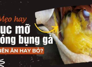 Is That Golden Lump of Fat in Chicken Worth Eating? Only the Connoisseurs Know