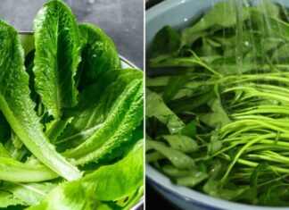10 Brain-Boosting Foods to Fight Headaches, Insomnia, and Restlessness