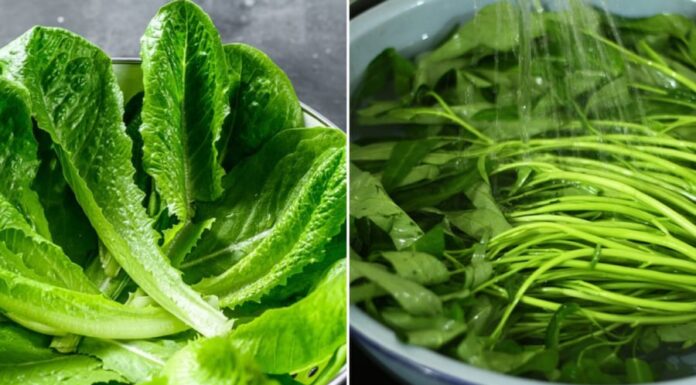 10 Brain-Boosting Foods to Fight Headaches, Insomnia, and Restlessness