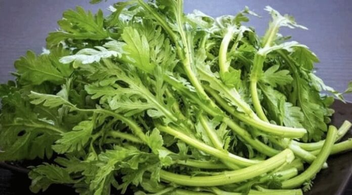 “3 Delicious Dishes with a Familiar Veggie: Unlocking Deep Sleep, Liver Detox, and Body Cleanse Secrets”