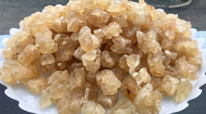 The Ultimate Superfood Delicacy: A Gift of Nature, Priced at 300,000 VND per kg.