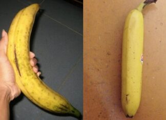 Should You Pick Bent or Straight Bananas at the Market? Many Are Getting It Wrong.
