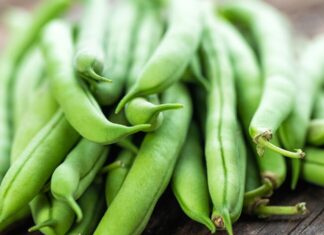 The Ultimate Guide to Buying Fresh, Tender Beans: A Simple Trick to Spot the Best Ones for a Delicious Crunch.