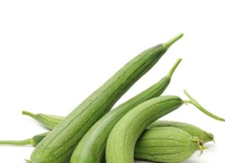 “The Smart Shopper’s Guide to Choosing the Freshest Loofah: A Simple Trick to Look Out For”