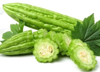 The Ultimate Guide to Choosing Bitter Melon: A Connoisseur’s Secret to Selecting the Perfect Bitter Gourd