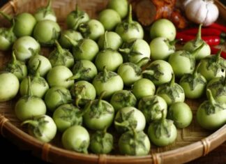 “The Ultimate Guide to Crispy, Long-Lasting Pickled Baby Eggplants: No Sour Taste, No Scum”