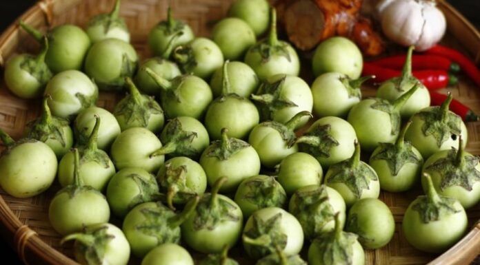 “The Ultimate Guide to Crispy, Long-Lasting Pickled Baby Eggplants: No Sour Taste, No Scum”