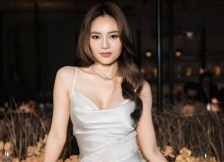 The Seductive Sirens of the East: Unveiling Vietnam’s “Queen of Loungewear” and Her Alluring At-Home Ensembles