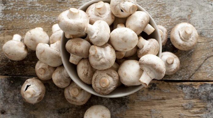 The Ultimate Superfood: Unlocking Hydration, Immunity, and Cancer Prevention with a Potassium Punch