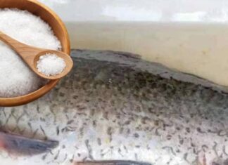 “The Ultimate Fish Transformation: Immerse Any Fish in This Magical Liquid to Eliminate Odor, Enhance Sweetness, and Amplify Flavor”