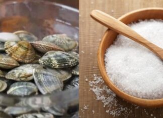 “The Ultimate Seafood Cleanse: A Refreshing Soak for Your Palate”