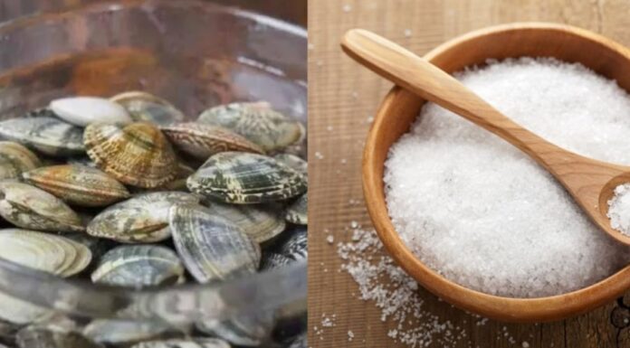 “The Ultimate Seafood Cleanse: A Refreshing Soak for Your Palate”