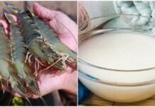 Soak Shrimp in This Magic Liquid Before Steaming or Boiling: Eliminate the Fishy Odor, Firm the Meat, and Enhance the Taste by Tenfold.