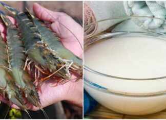 Soak Shrimp in This Magic Liquid Before Steaming or Boiling: Eliminate the Fishy Odor, Firm the Meat, and Enhance the Taste by Tenfold.