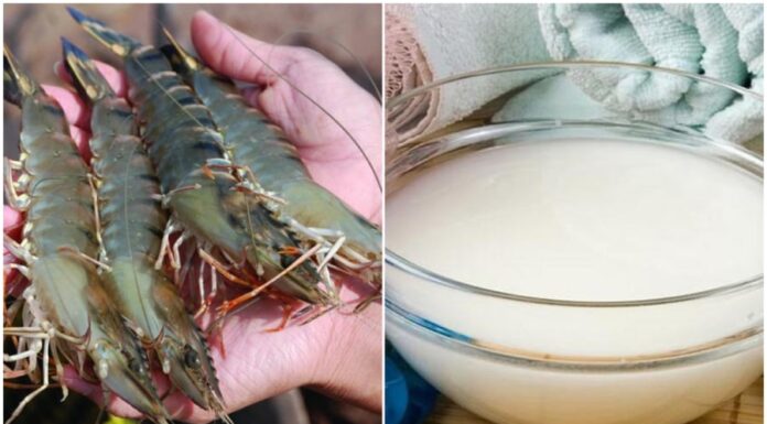 Soak Shrimp in This Magic Liquid Before Steaming or Boiling: Eliminate the Fishy Odor, Firm the Meat, and Enhance the Taste by Tenfold.