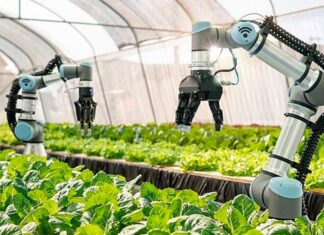 The Ultimate Guide to Choosing a Recession-Proof Career: Uncovering the Hidden Gem of a Degree that Guarantees a Lucrative Future.