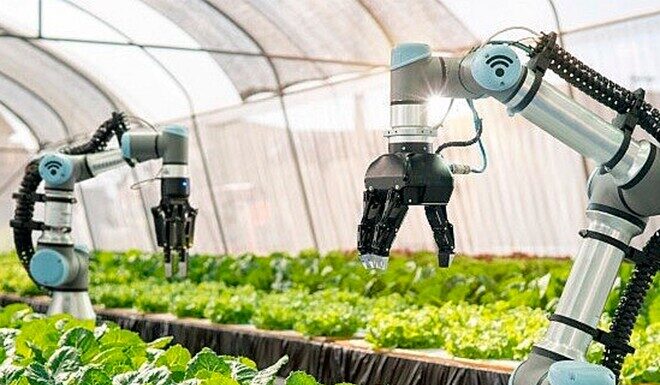 The Ultimate Guide to Choosing a Recession-Proof Career: Uncovering the Hidden Gem of a Degree that Guarantees a Lucrative Future.