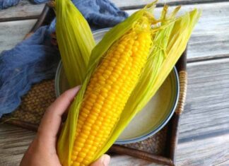 The Ultimate Breakfast Guide: 5 Delicious Alternatives to Pho, Especially Number 2!