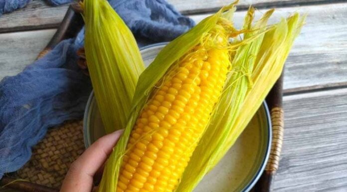 The Ultimate Breakfast Guide: 5 Delicious Alternatives to Pho, Especially Number 2!