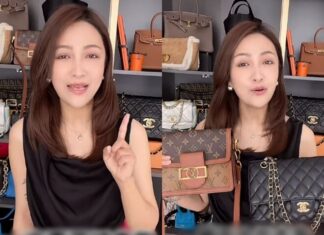 The Bag Connoisseur’s Eternal Quartet: Choose One, and Any Outfit Will Sing