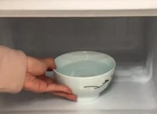 The Smartest Way to Keep Your Fridge Fresh and Odor-Free: An Overnight Hack