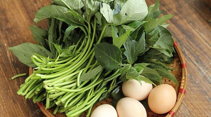 “The Ultimate Superfood: Unlocking the Secrets of Vietnam’s Longevity Veggie”