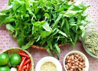 The Ultimate Bean Sprout Salad: A Crunchy, Delicious, and Premium Treat.