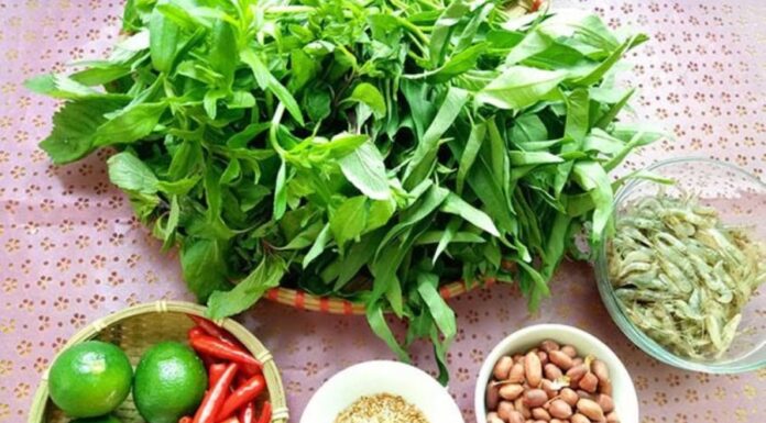 The Ultimate Bean Sprout Salad: A Crunchy, Delicious, and Premium Treat.