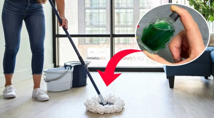 The Magic Potion for a Sparkling Clean: A Few Drops of Essential Oil in Your Mop Water Goes a Long Way