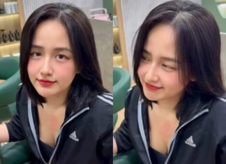 The Ageless Vietnamese Stars: A Glimpse at Their Silver Strands