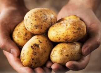 The Ultimate Superfood: Uncovering the Humble Root with an Astonishing Vitamin C Punch.