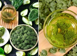 What Are the Benefits of Asiatic Cornelian Cherry Buds? Medicinal Recipes with These Buds.