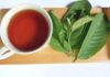“Unlocking Six Sensational Health Benefits: The Magic of Guava Leaf Tea”