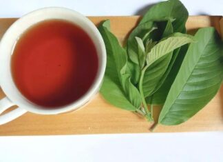 “Unlocking Six Sensational Health Benefits: The Magic of Guava Leaf Tea”